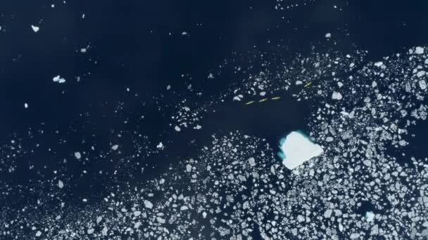 Kajaks Und Eisschollen Auf Dem Wasser Antarktische Halbinsel Antarktis — Stockvideo