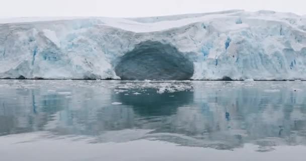 Ледник Льдины Воде Острове Торгерсен Антарктический Полуостров Антарктида — стоковое видео