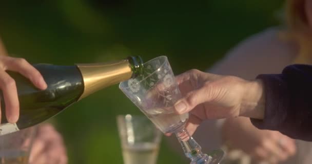 Šampaňské Nalévá Vinobraní Skla Venku — Stock video