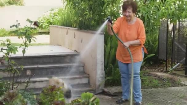 Mujer Rociando Perro Con Agua Manguera Jardín Jardín — Vídeos de Stock