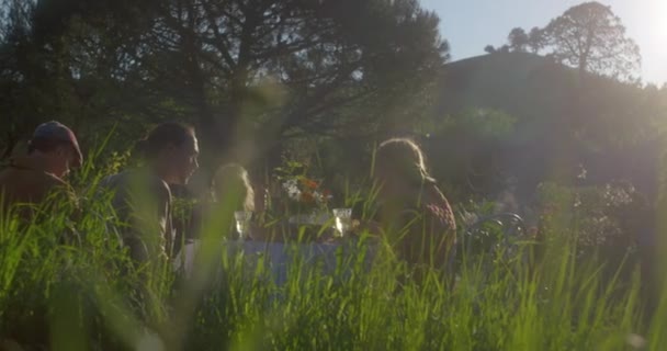 Familjen Njuter Middagen Trädgården — Stockvideo