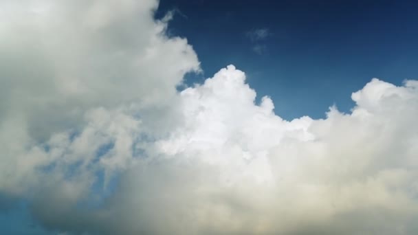 Białe Chmury Cumulus Niebie — Wideo stockowe