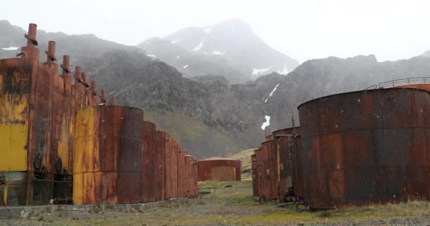 Bangunan Stasiun Penangkapan Paus Berkarat Terbengkalai Tengah Salju Grytviken Georgia — Stok Video