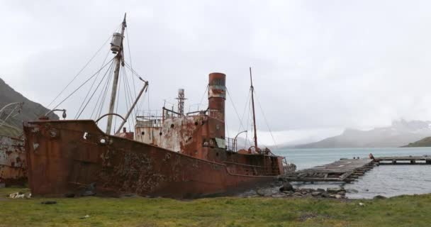 Rusty Naufragio Della Nave Alla Stazione Baleniera Abbandonata Giorno Coperto — Video Stock