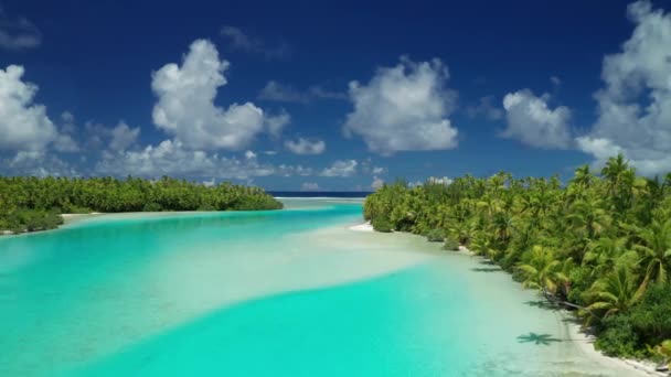 Türkise Lagune Und Palmen Aitutaki Cook — Stockvideo