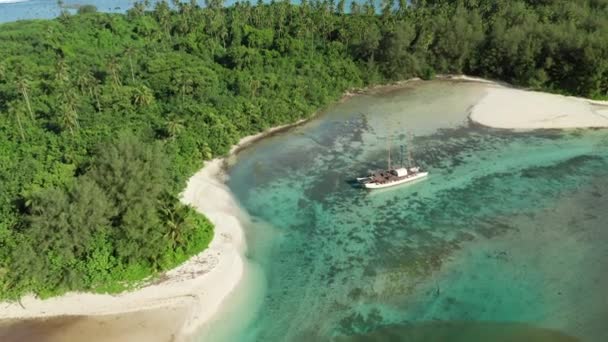 Catamarán Laguna Rodeado Palmeras — Vídeo de stock