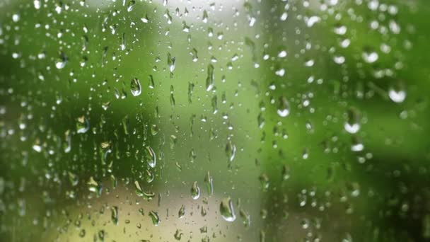 緑の背景の窓に雨が降る — ストック動画
