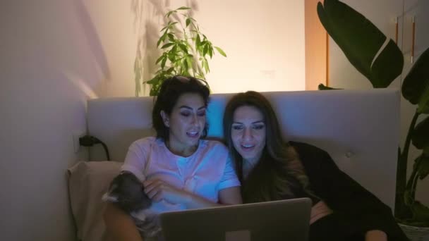 Pareja Lesbiana Con Gato Teniendo Una Videollamada Vía Laptop Por — Vídeo de stock