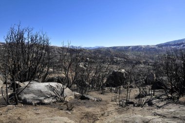 Güney Kaliforniya'da yanmış Vadisi