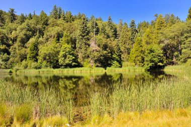 Palomar Dağı Ulusal Parkı