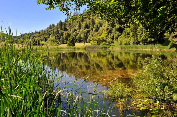 Palomar Dağı Ulusal Parkı