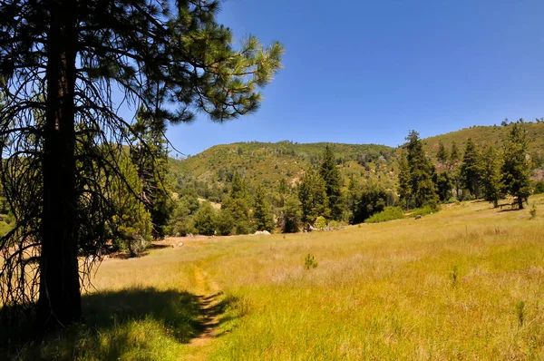 Vue Sur Parc National Palomar Mountain — Photo