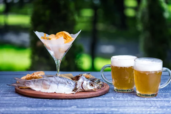 Закуски для пива и две кружки пива. Соленая, сушеная рыба, кольца кальмара и картофельные чипсы, на разделочной доске и зеленый летний фон — стоковое фото