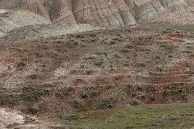 Kırmızı çizgili bitki örtüsü ile kaplı dağın eğimi.
