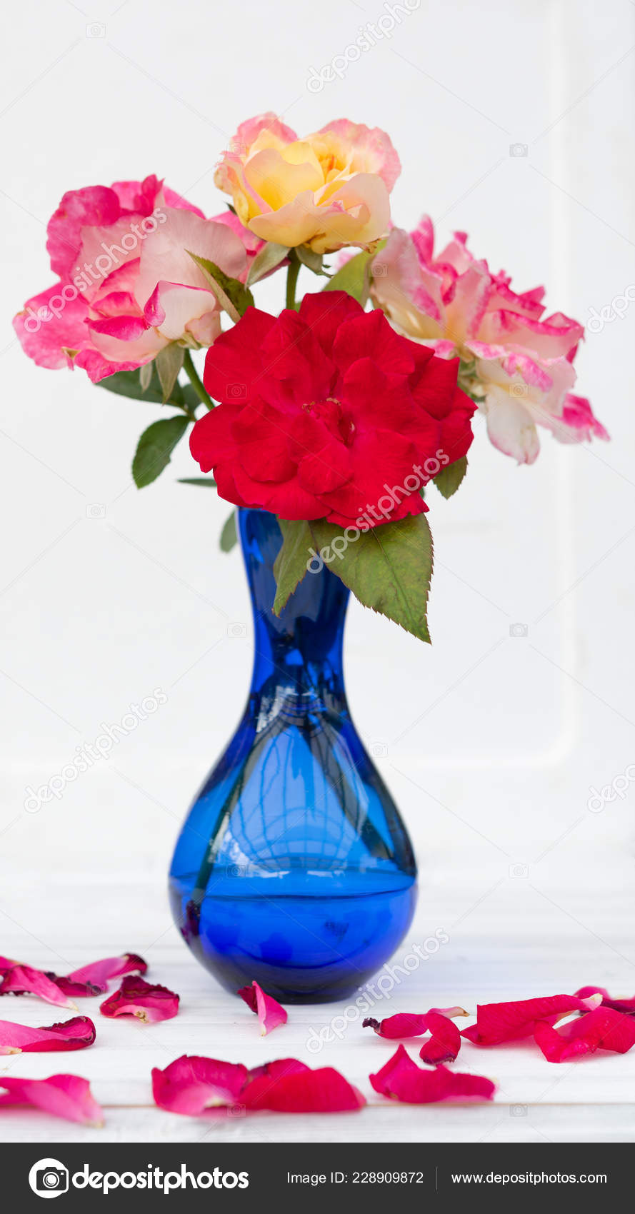Beautiful Red Pink Roses Blue Vase White Wooden Background depositphotos stock photo beautiful red pink roses blue
