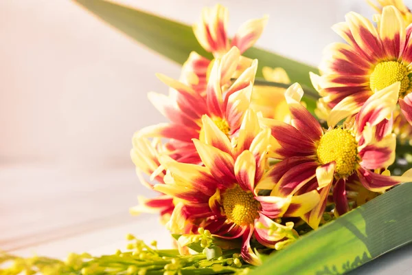 Vacker Röd Gul Färsk Krysantemum Blommor Boquet Vit Trä Bakgrund — Stockfoto