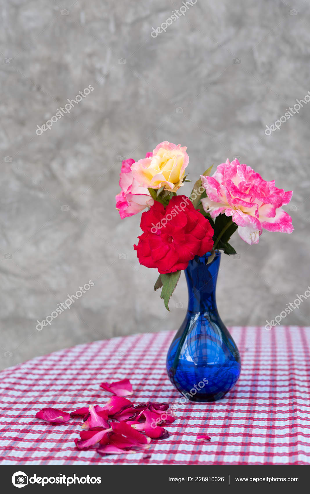 Beautiful Red Pink Roses Blue Vase Red White Checkered Table depositphotos stock photo beautiful red pink roses blue