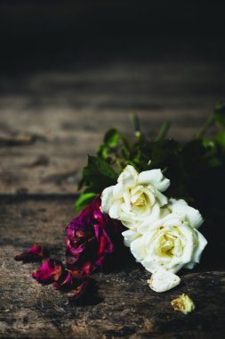 Grunge ahşap arka plan, natürmort güzel kuru kırmızı ve beyaz gül