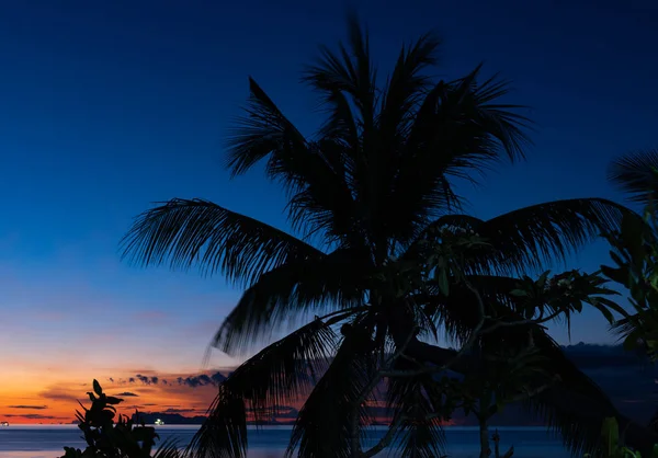 Silhouette Coconut Palm Trees Blue Sea Sky Background Dusk — Stock Photo, Image