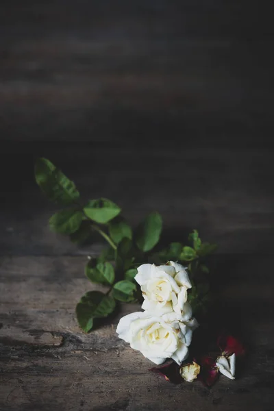 Beautiful Dry Red Roses Grunge Wooden Background Top View Still — Stock Photo, Image