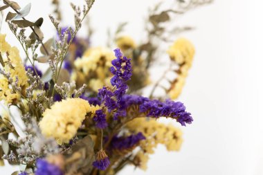 Beyaz arka plan üzerinde güzel kurutulmuş çiçek buketi