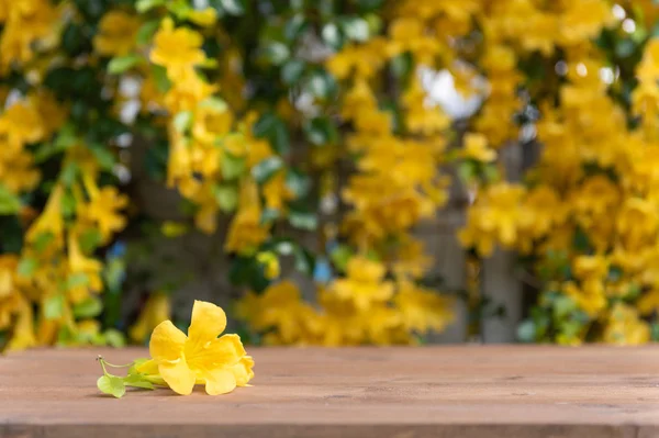 Naturaleza mesa de madera marrón con hermosas flores amarillas y — Foto de Stock
