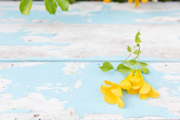 Vintage wooden tabletop with beautiful yellow flowers and green — Stock Photo, Image
