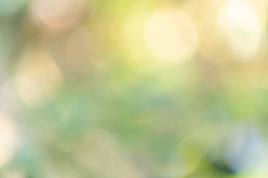 Abstrct defocused renkli yeşil sarı bulanık bokeh backgroun