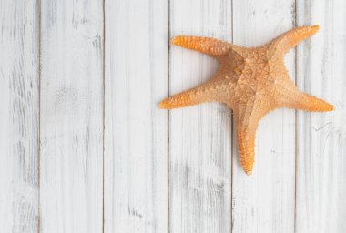 Beyaz ahşap masa üst arka plan üzerinde büyük denizyıldızları, üst görünüm