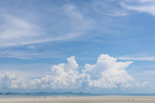 Escenario marino de verano azul brillante cielo marino nubes blancas fondo —  Fotos de Stock