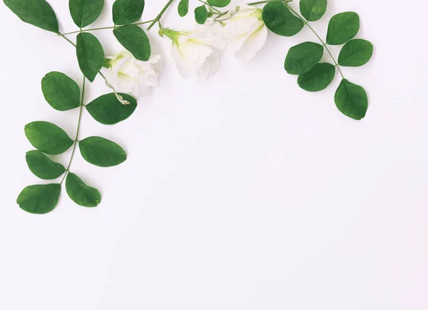 Vackra fjäril ärt blommor ram och gröna blad på vit — Stockfoto