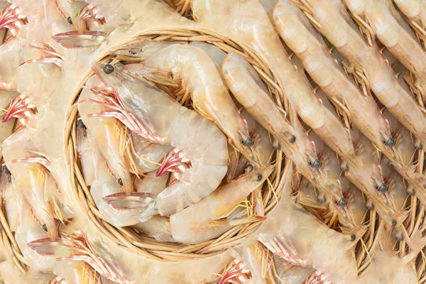 Camarões frescos crus, fundo de camarão — Fotografia de Stock
