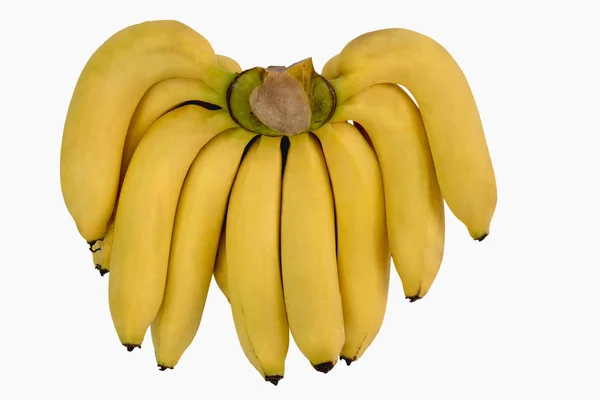 Mazzo di banane gialle fresche, Gros Michel banana isolata su whi — Foto Stock