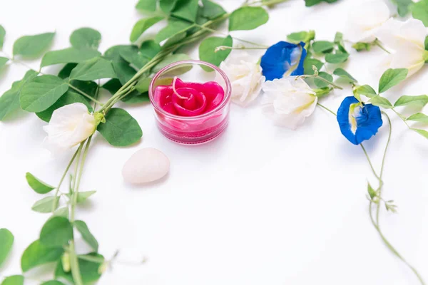 Röd ros ljus, vackra fjäril ärt blommor ram, grön leav — Stockfoto