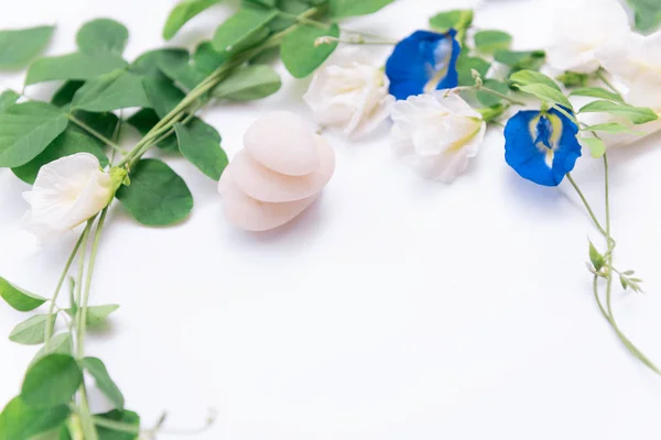 Borboleta bonita flores de ervilha quadro, folhas verdes e branco sto — Fotografia de Stock