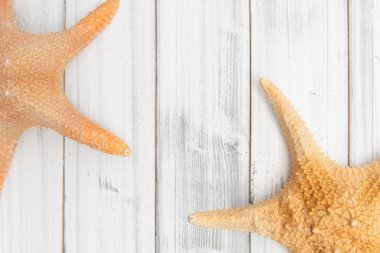 Beyaz ahşap masa üst arka plan üzerinde büyük denizyıldızları, üst görünüm