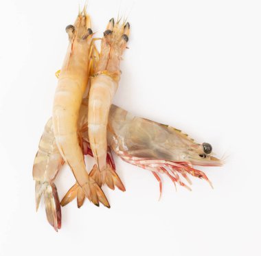 Çiğ taze karides, karides beyaz arka plan üzerinde izole, üst görünümü