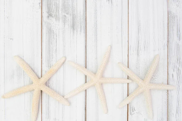 Grandes estrellas de mar sobre fondo de mesa de madera blanca, vista superior —  Fotos de Stock