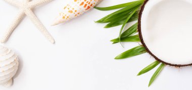 Denizyıldızı, kabukları, hindistan cevizi ve palmiye yaprakları ile Yaz arka plan  