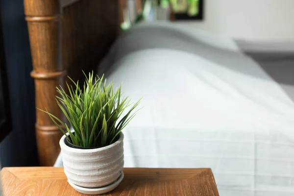 Maceta de árbol en la decoración de mesa de madera en el interior del dormitorio blanco —  Fotos de Stock