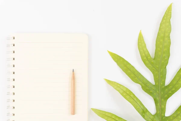 Pusty Notatnik, ołówek i Brodawka liść paproci na białym tle — Zdjęcie stockowe