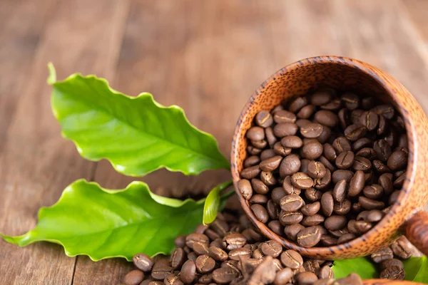 Roasted coffee beans in wood cup with green leaf star anise and — Stock Photo, Image