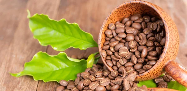 Roasted coffee beans in wood cup with green leaf star anise and — Stock Photo, Image