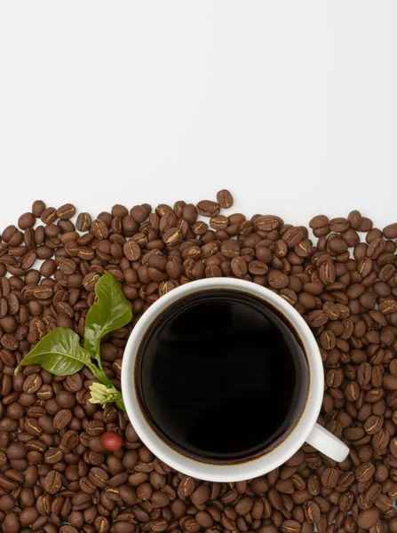 Taza Café Granos Café Tostados Cereza Con Flor Hoja Verde —  Fotos de Stock