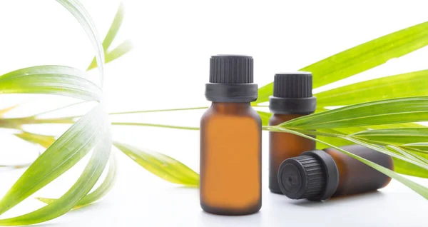 Ätherische Ölflasche Und Frisches Palmblatt Auf Weißem Hintergrund — Stockfoto
