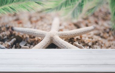 Bulanık plajlı beyaz ahşap kaplama, yıldız balığı ve palmiye yaprakları arka plan, yaz konsepti