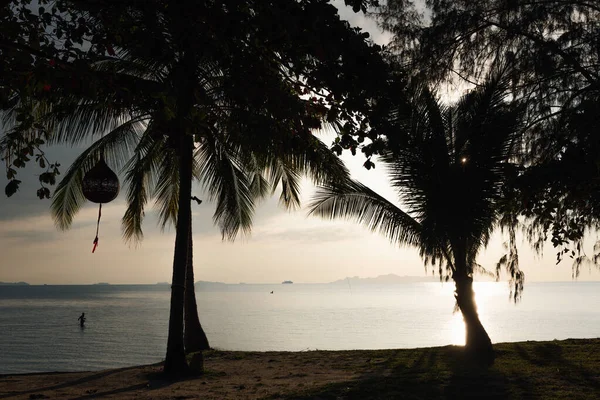 Silhouette Coconut Palm Trees Blue Sea Sky Background Dusk — Stock Photo, Image
