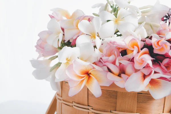 Vackra Frangipani Eller Plumeria Blommor Trä Korg Vit Bakgrund — Stockfoto