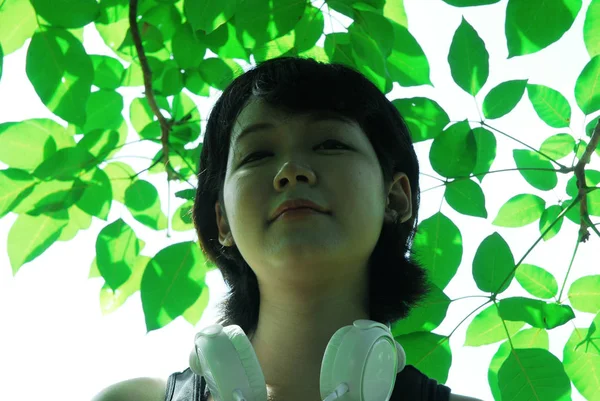 Hermosa Asia Mujeres Sonrisa Retrato Rama Árbol Fondo — Foto de Stock