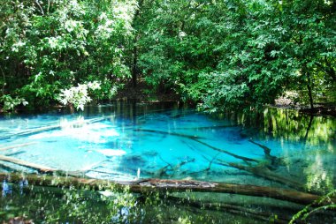 Yakın çekim zümrüt kuyu suyu Göleti orman Tayland at.